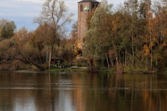 Borner See mit Pfarrkirche Born