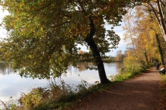 Uferweg am Borner See
