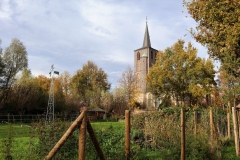 Naturgärten für Vogel- und Insektenwelt an der Borner Kirche