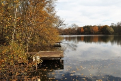 Stege am Borner See