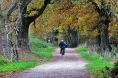 Weg zum Mühlratherhof