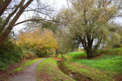 Am Oberen Breyeller See