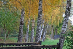 Brücke am Unteren Breyeller See