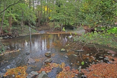 Furt an der Kothmühle