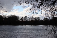 Nettebruch mit Breyeller Kirche in der Ferne