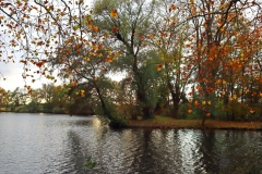 Nettebruch im Bereich Breyellerstraße