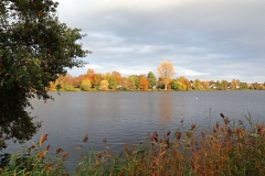 Nettebruch - Blick aufs Westufer