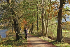 Nettebruch Westuferweg