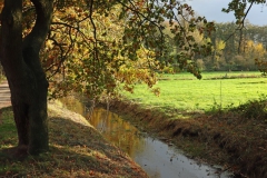 In den Auen am Nettebruch