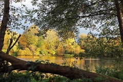 Unterer Breyeller See Westufer