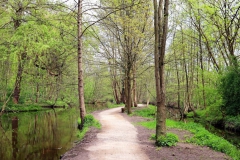 Weg zwischen den Armen der Schwalm