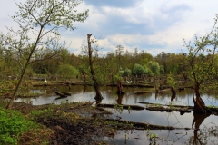 Schwalmbruch "Am Blates"