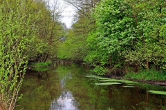 Schwalm unterhalb Schloss Dilborn
