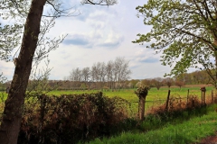 Blick über die Schwalmauenwiesen