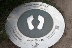 Wasserblick 15
