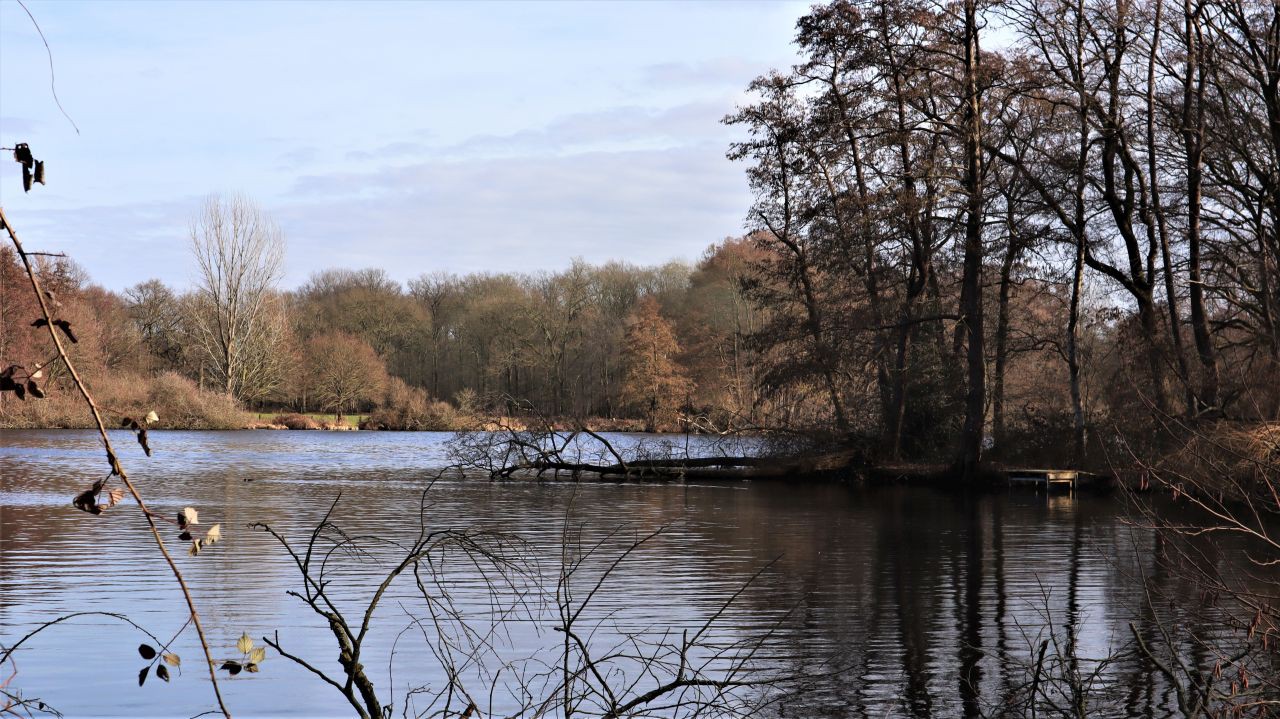 Großer De Wittsee