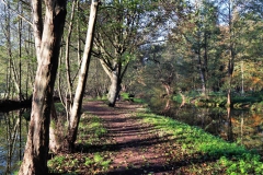 Weg an der Schwalm