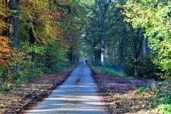 Auf dem Weg zu Schloss Dilborn