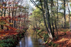 An der Schwalm beim Feriendorf Venekoten
