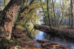 An der Schwalm beim Feriendorf Venekoten