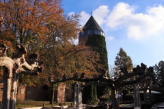 Burg Brüggen