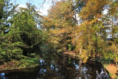 Wassergraben Burg Brüggen