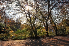 An der Schwalm bei Burg Brüggen