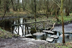 Trittsteine am Alsbach