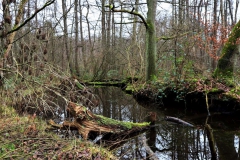 Altarm Schwalm