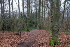 Im Beeckerwald