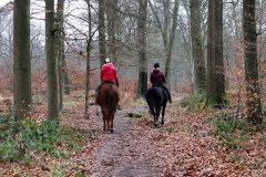 Im Beeckerwald