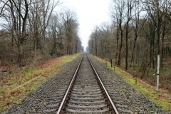 Bahnübergang im Beeckerwald