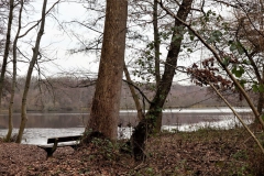 Holtmühlenweiher