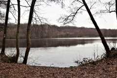 Holtmühlenweiher