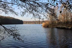 Waldsee