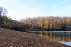 Strand am Waldsee