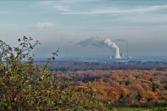 Blick Richtung Lohheidesee