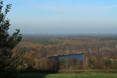 Blick auf Waldsee