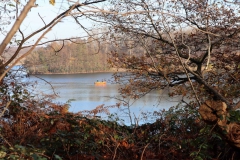 Waldsee