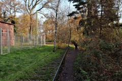 Alte Gleisanlage am Waldsee