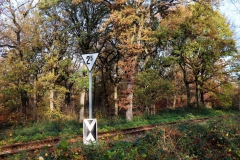 Gleisanlage Nähe Waldsee