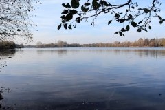 Lohheidesee