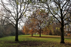 Grillplatz am Lohheidesee