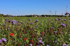 Blick zum alten Getreidesilo