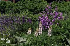 Vorgarten am Angerweg