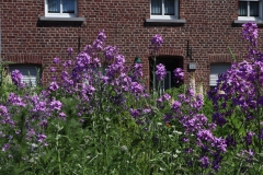 Vorgarten am Angerweg