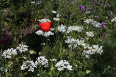 Vorgarten am Angerweg