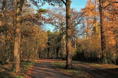 Wanderparkplatz am Hülserberg Bahnhof