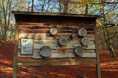 Insektenhotel am Hülserberg