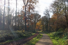 Reit- und Wanderweg NSG Hülserbruch